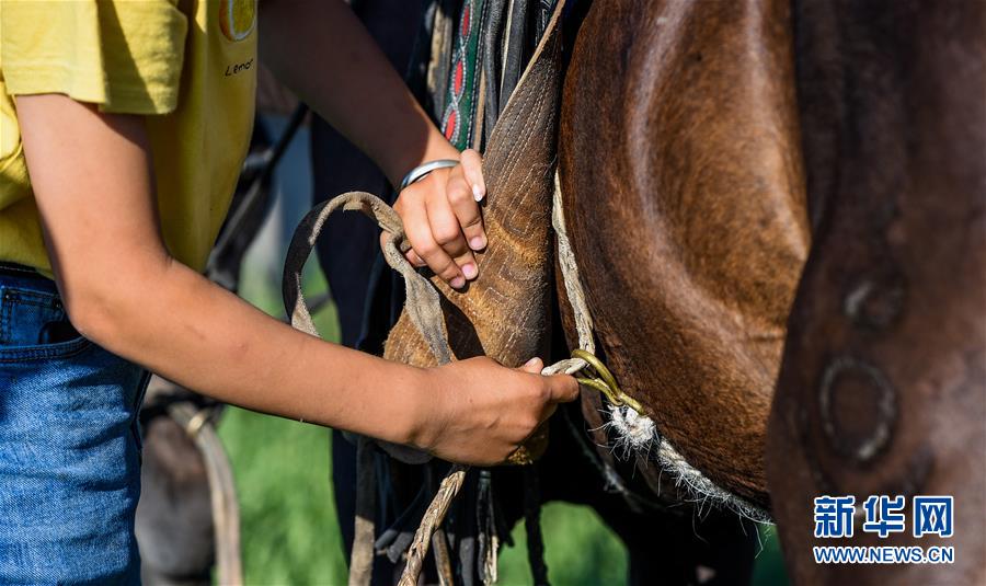 (特別的暑期生活·圖片故事)(7)草原女孩錫林花的暑期“歡樂時(shí)光”